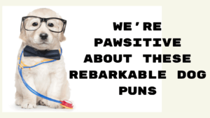 We're Pawsitive About thse rebarkable Dog Puns