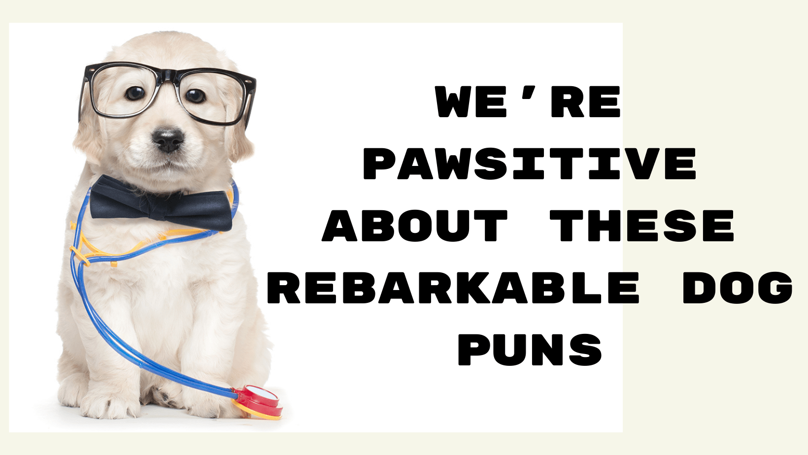 We're Pawsitive About thse rebarkable Dog Puns